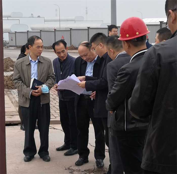 經開區(qū)主任蒲成明一行領導來我司項目視察